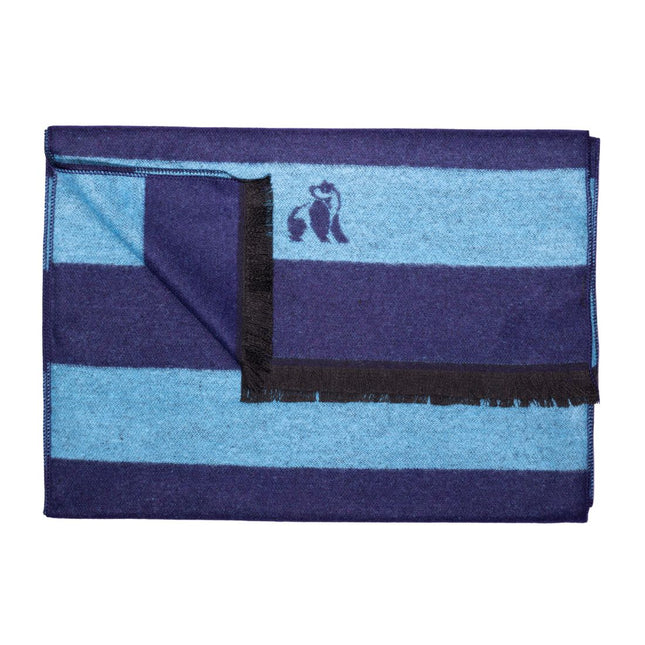 Bamboo Scarves - Sky Blue Stripe Bamboo Scarf Bamboo Scarves - Sky Blue Stripe Bamboo Scarf