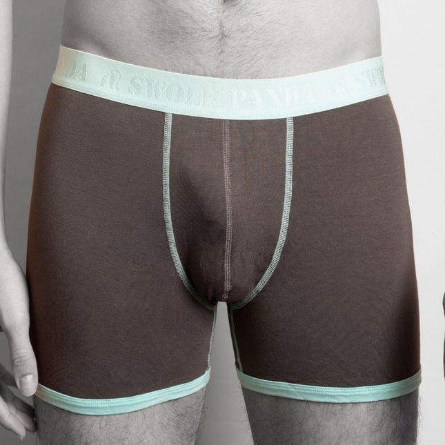 Bamboo Underwear - Bamboo Boxers - Grey / Mint Band Bamboo Underwear - Bamboo Boxers - Grey / Mint Band