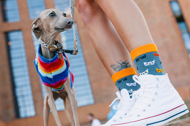 Funky Socks for Women Who Love Bold, Expressive Fashion