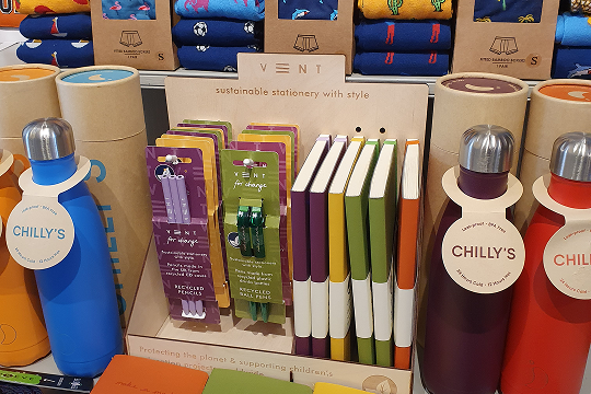 How Bamboo Helps Reduce Plastic Waste: A Sustainable Choice for Everyday Living