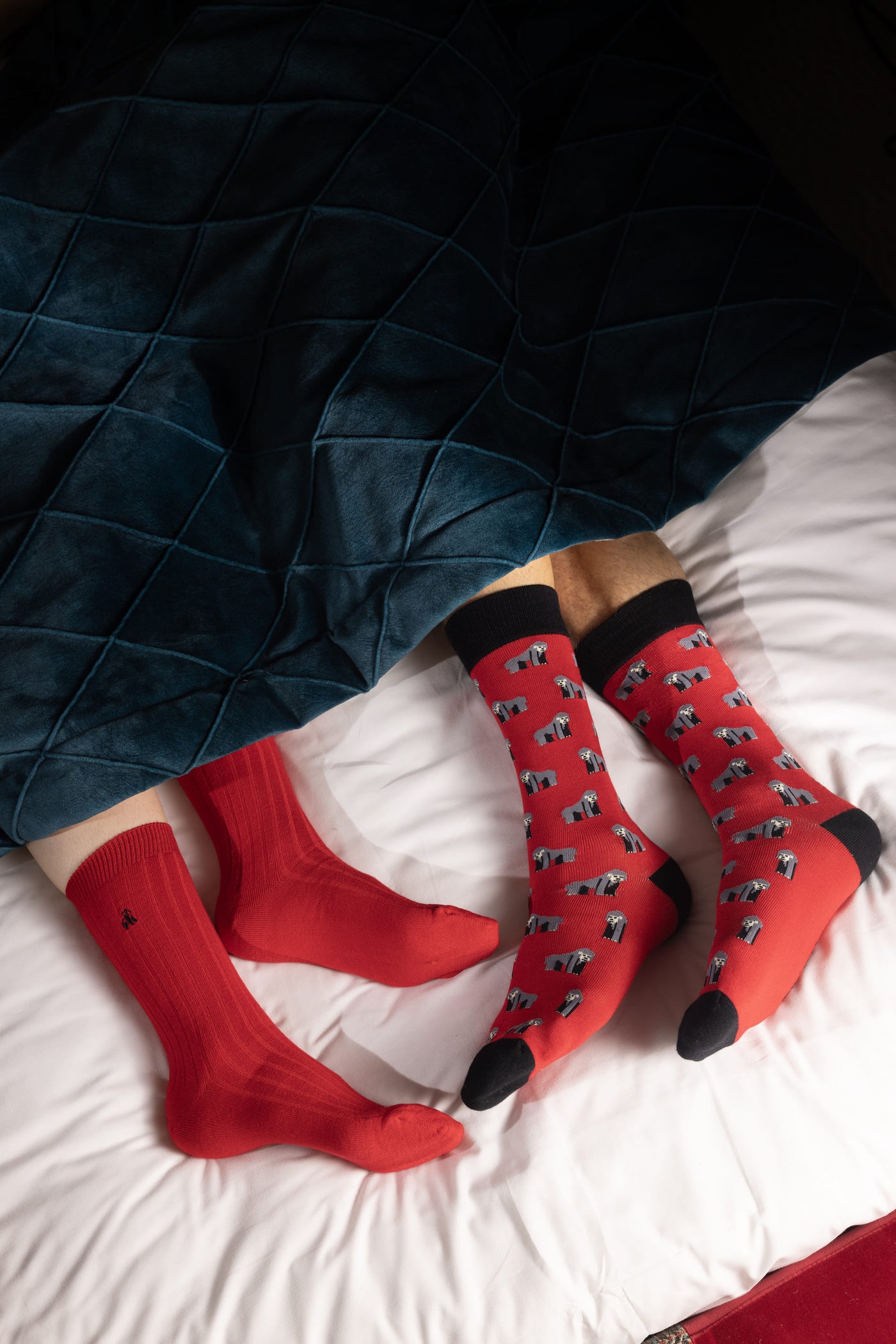Elevate Your Valentine's Day Style: 7 Trendy Socks to Set the Mood