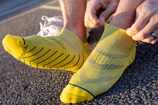 Why Bamboo Socks Are the Most Sustainable Socks on the Market