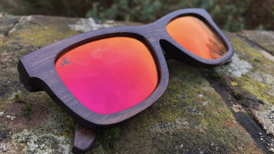 Two new editions to the Swole Panda bamboo sunglasses collection!