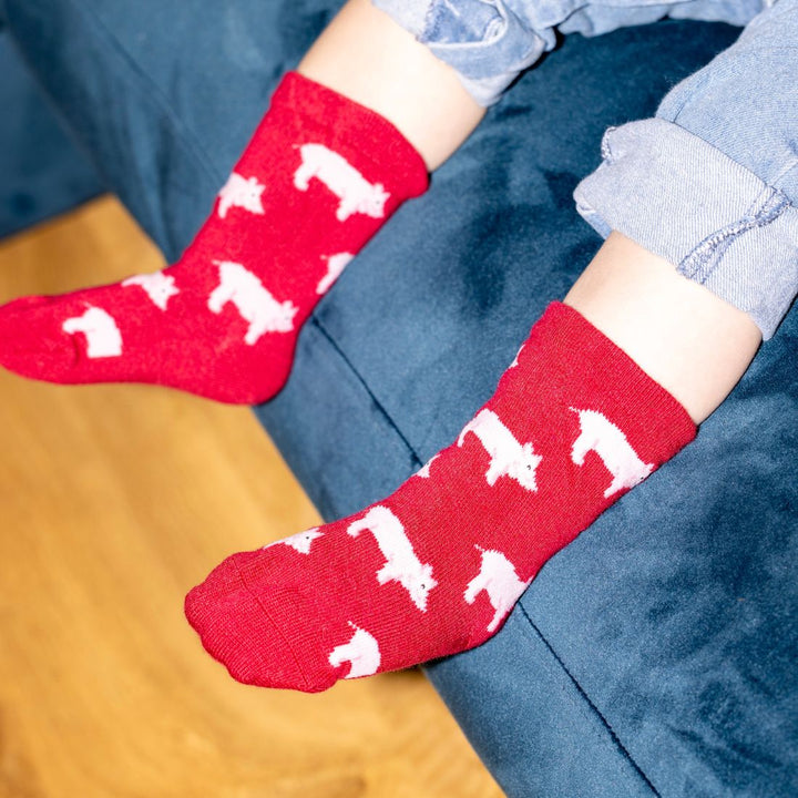 Children's Pig Bamboo Socks