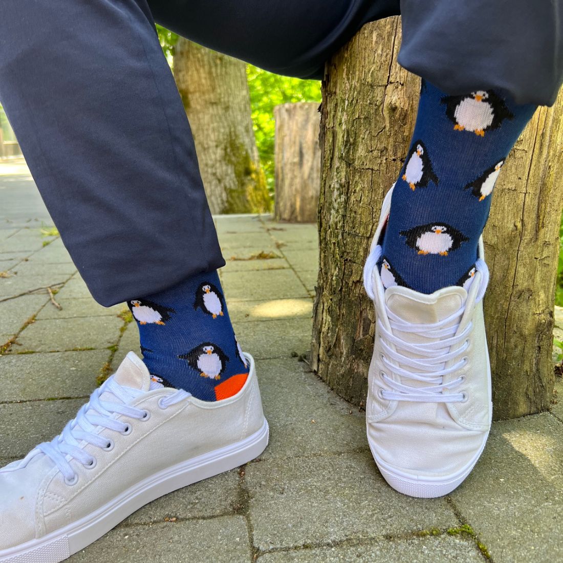 Navy Penguin Bamboo Socks