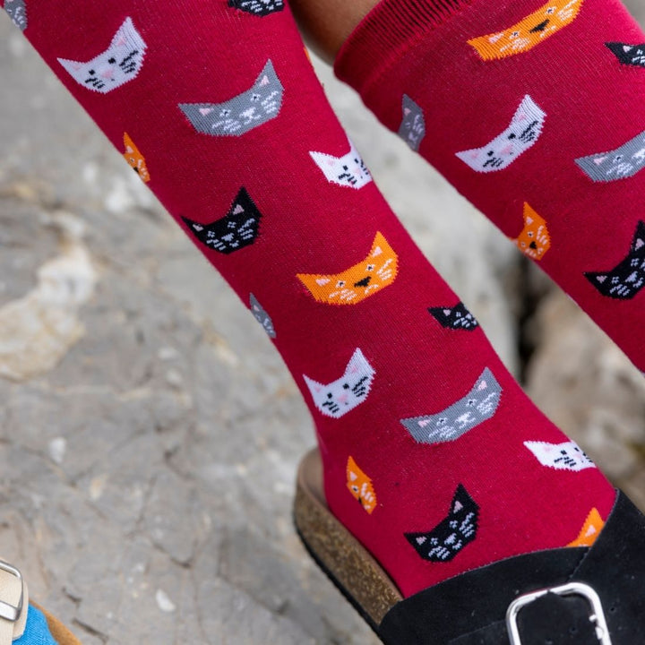 Red Cat Bamboo Socks