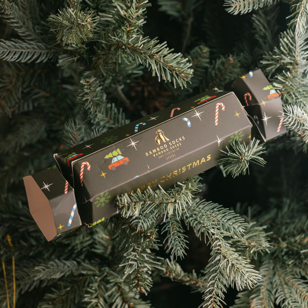 Motif Christmas Cracker - 2 Pairs of Bamboo Socks (His)