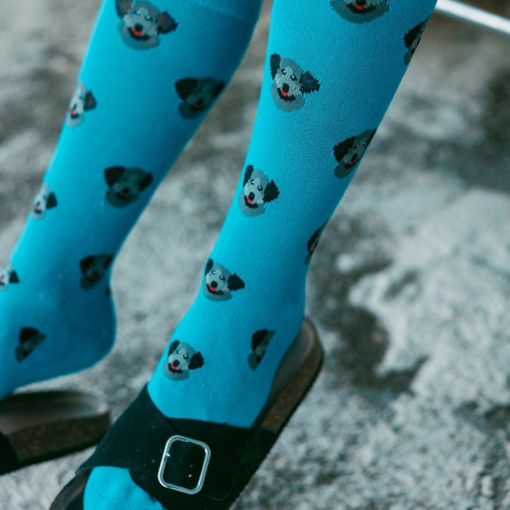 Black Labrador Bamboo Socks