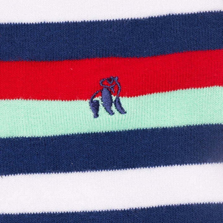Navy, Red & Mint Striped Bamboo Socks