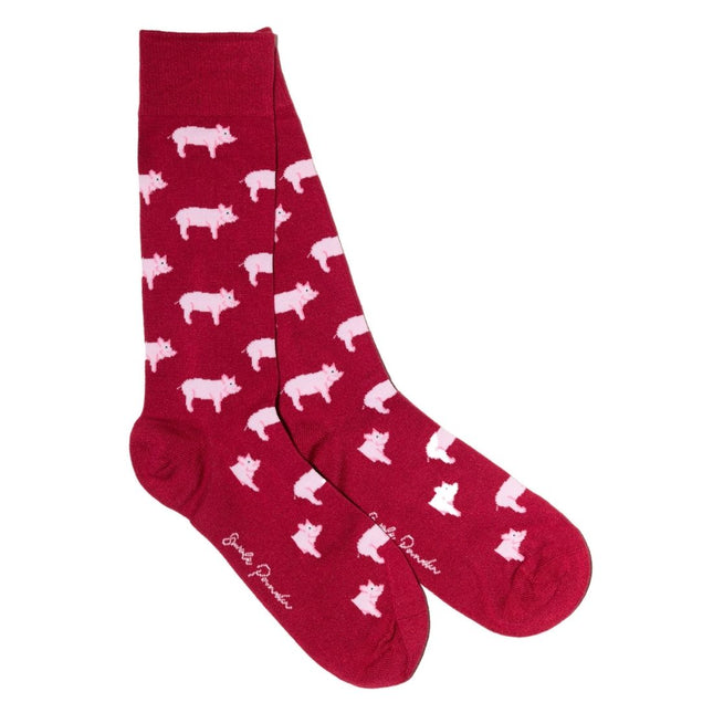 New Women's Bamboo Sock Collection - Pig Bamboo Socks
