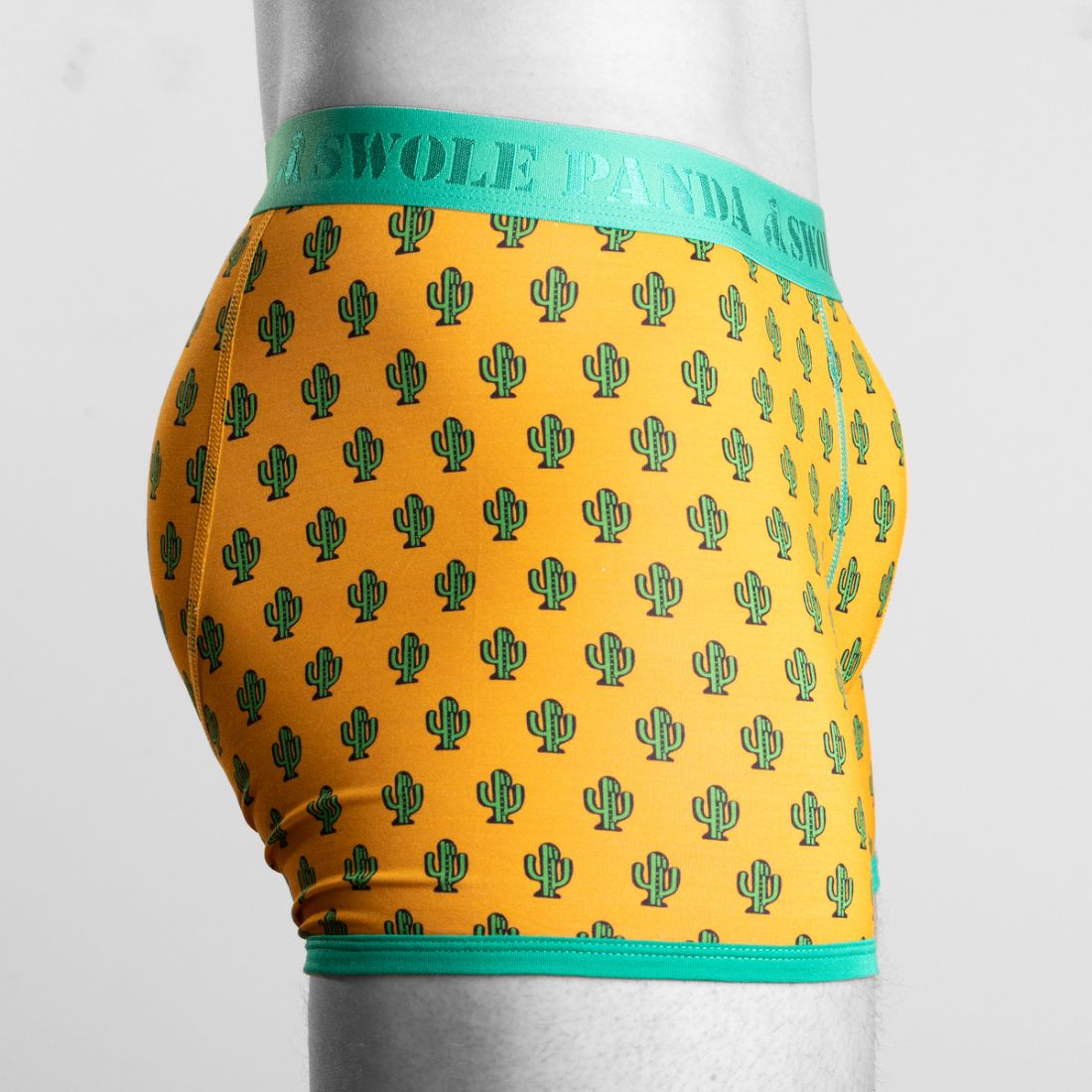 Bamboo Boxers - Cactus