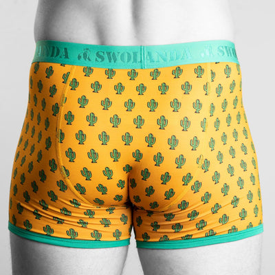 Bamboo Boxers - Cactus