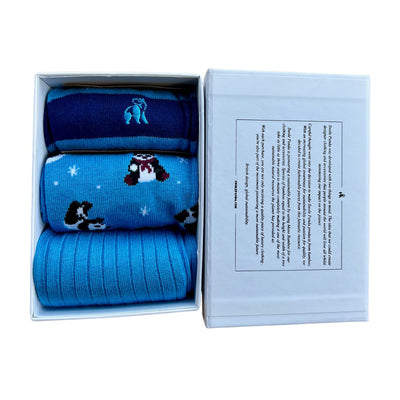 Blue Skiing Panda Sock Box - 3 Pairs of Bamboo Socks (His)