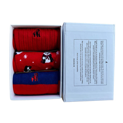 Red Skiing Panda Sock Box - 3 Pairs of Bamboo Socks (His)