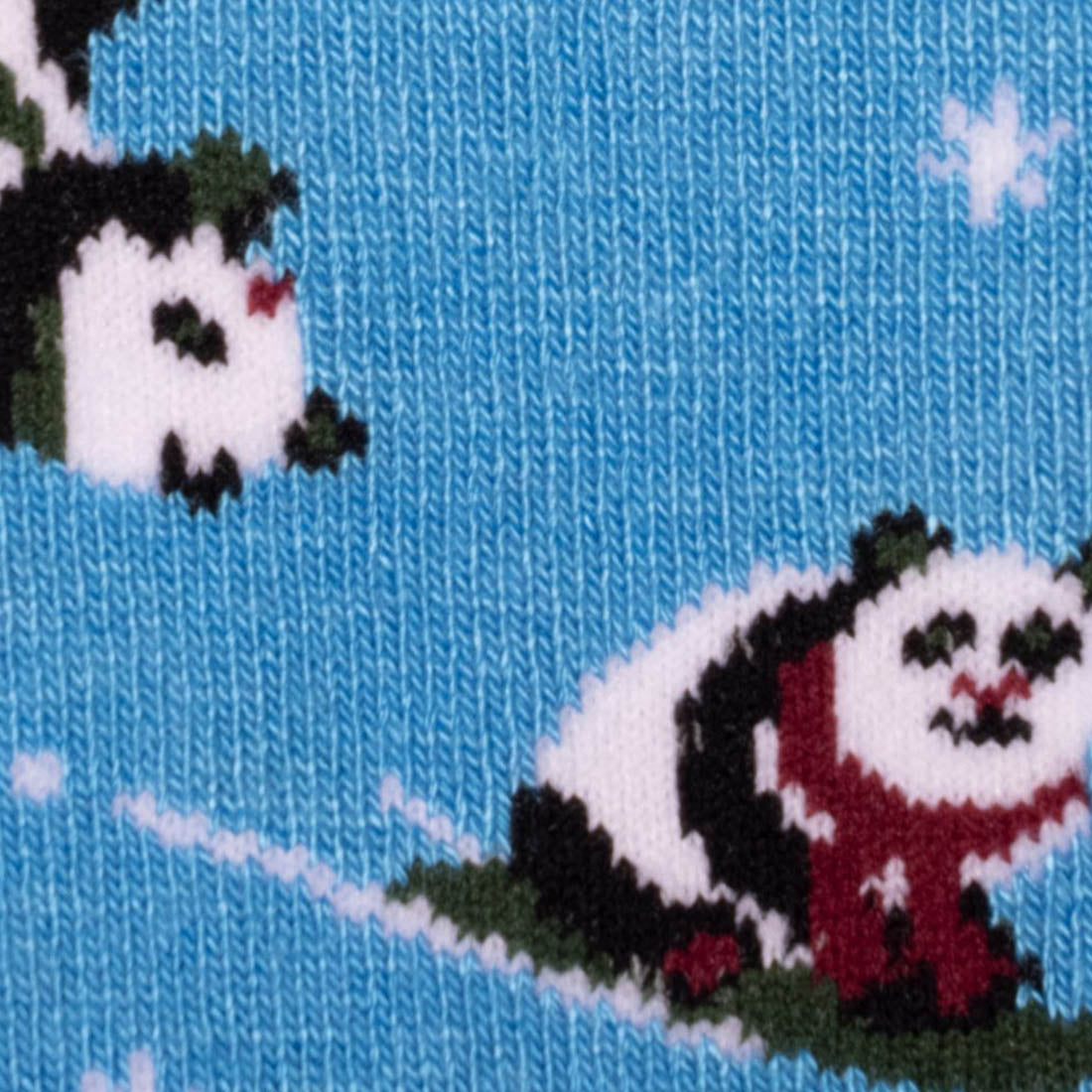 Blue Skiing Panda Sock Box - 3 Pairs of Bamboo Socks (His)