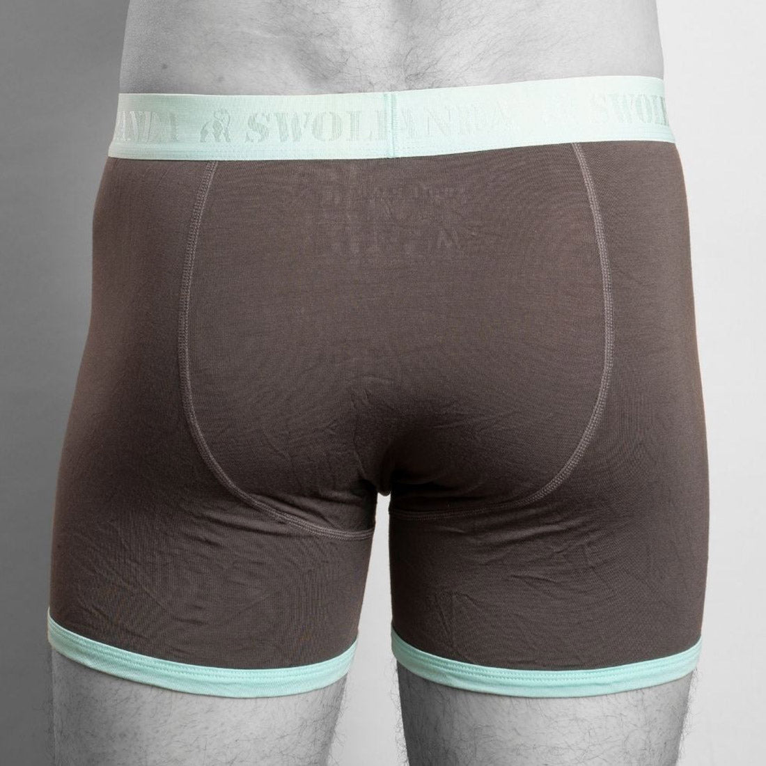 Bamboo Boxers - Grey / Mint Band